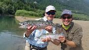 Nic and Co, Rainbow trout June, double h, Slovenia fly fishing